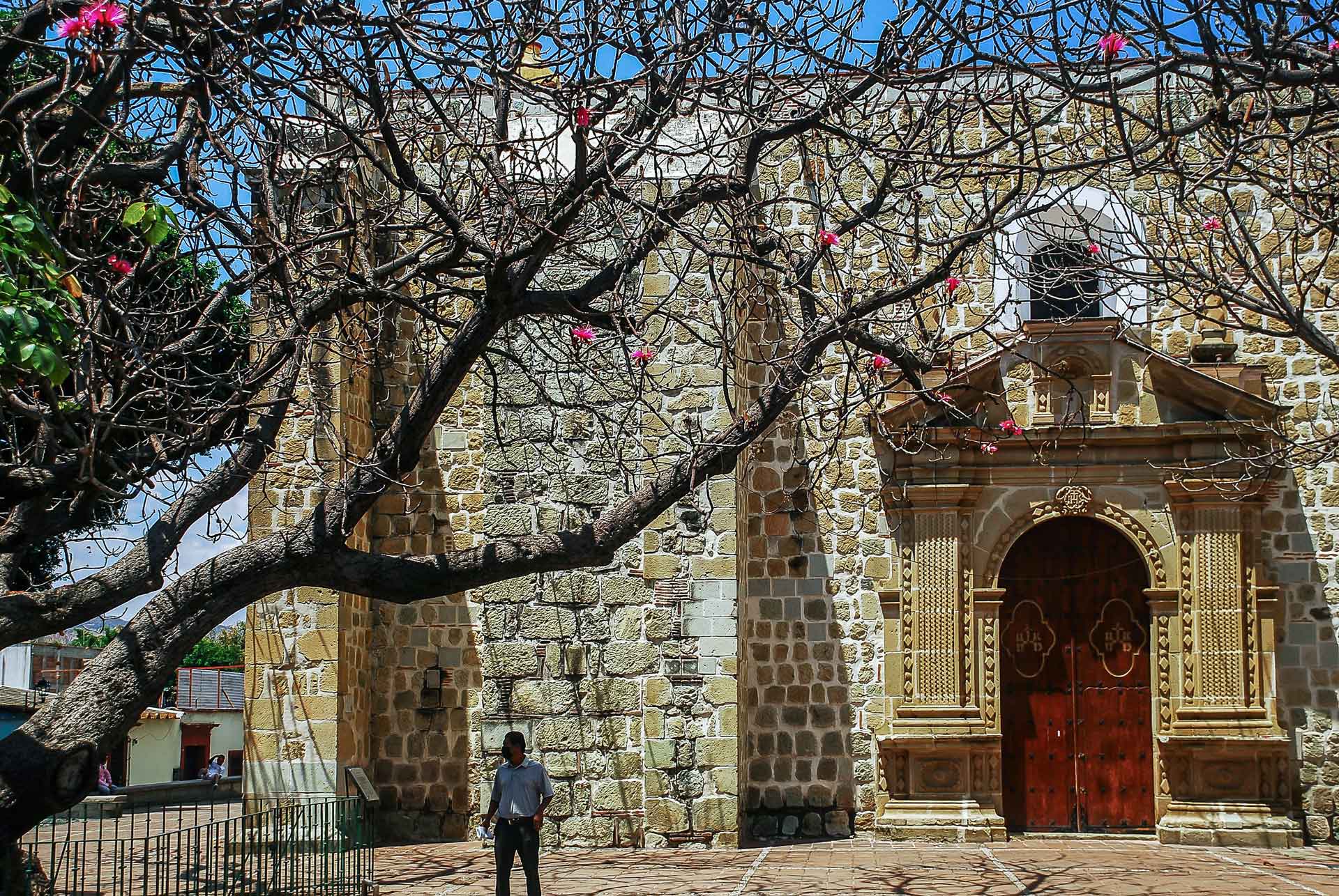 Galería imagen 5
